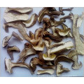 Dried Boletus Edulis, Porcini Mushroom From China